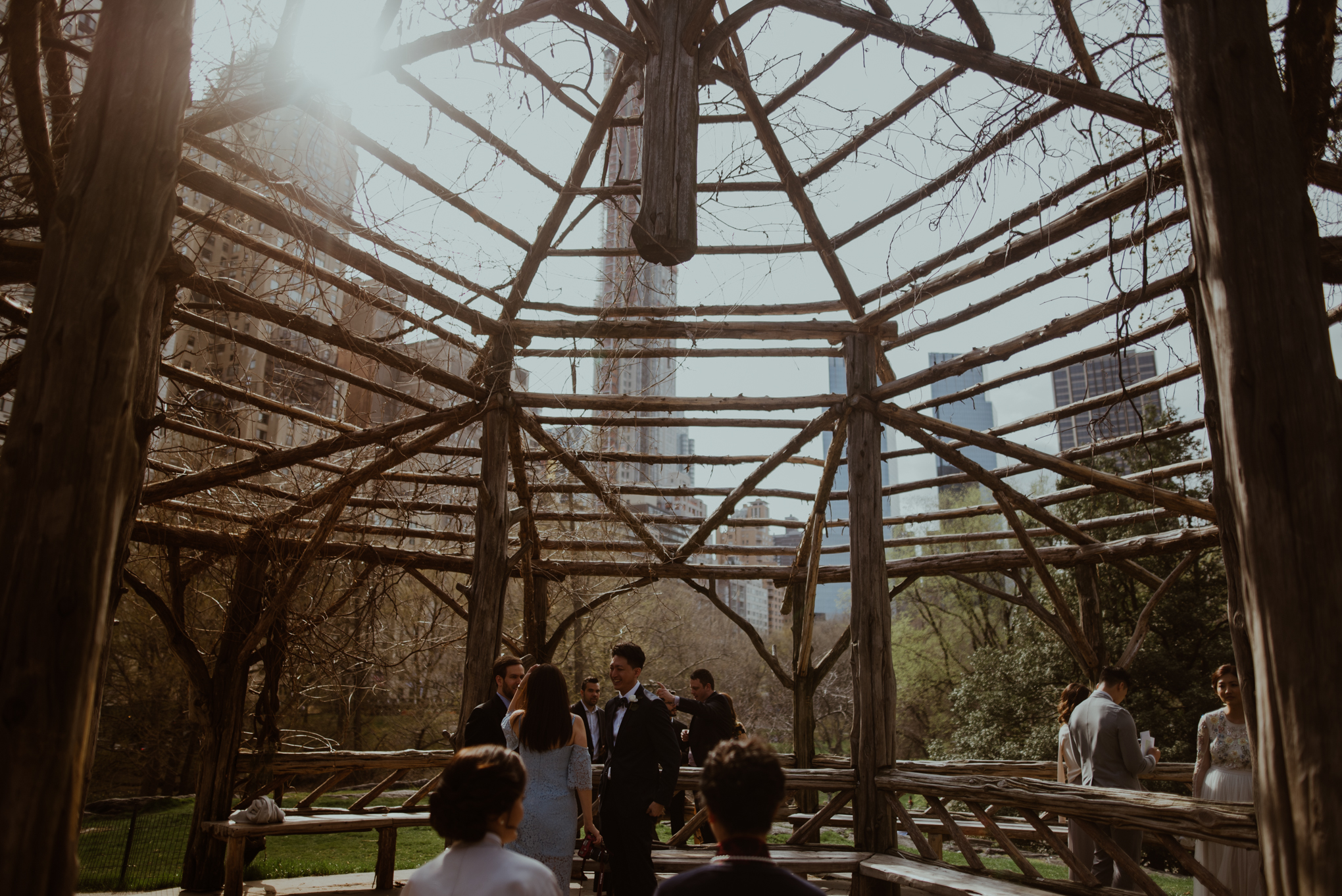 Cop cot views from an elopement wedding in Central Park NYC